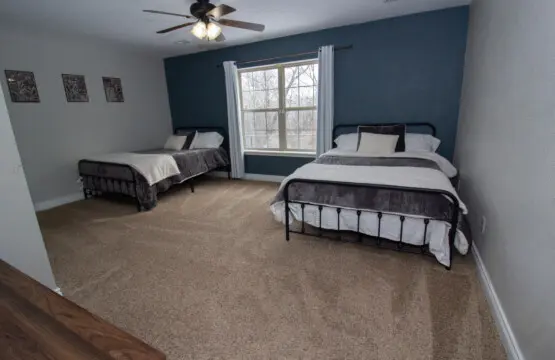 2537b56d b415 46cd 8fb5 01b779d8dce0.jpg