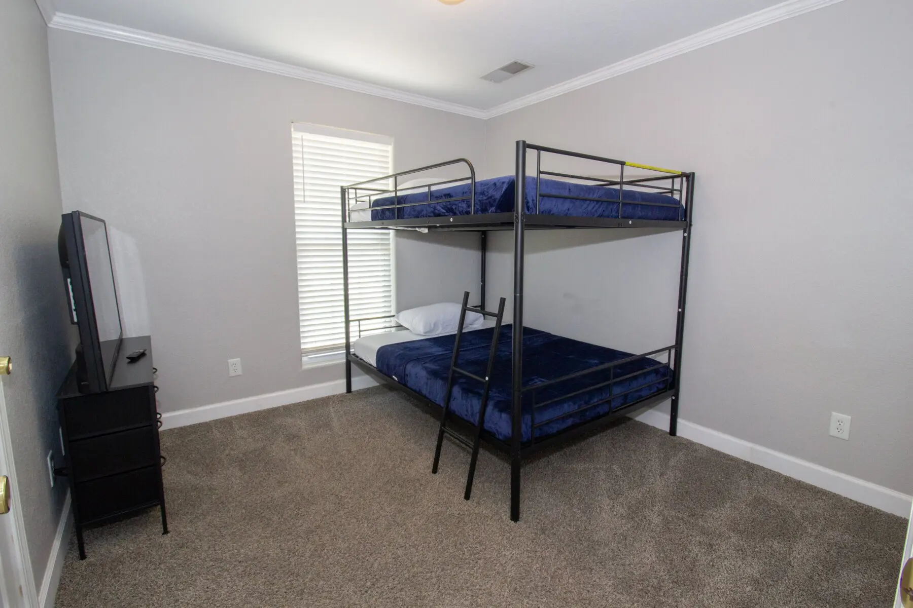 c6eb84b7 b6c1 40ed a5e0 ea3db9c688d1.jpg